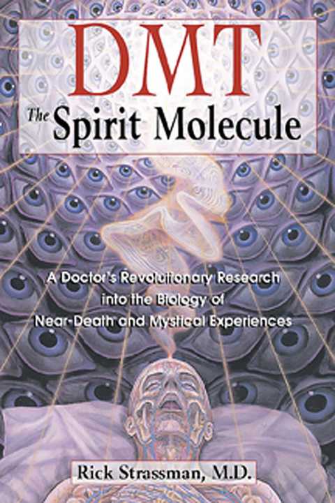 Cover image for book DMT: The Spirit Molecule
