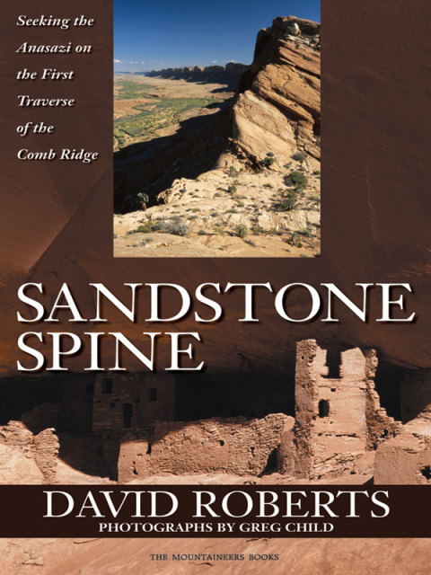 Cover image for book Sandstone Spine