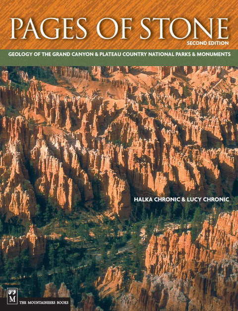Cover image for book Pages of Stone