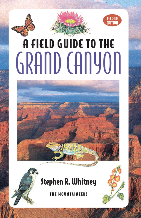 Cover image for book Field Guide to the Grand Canyon