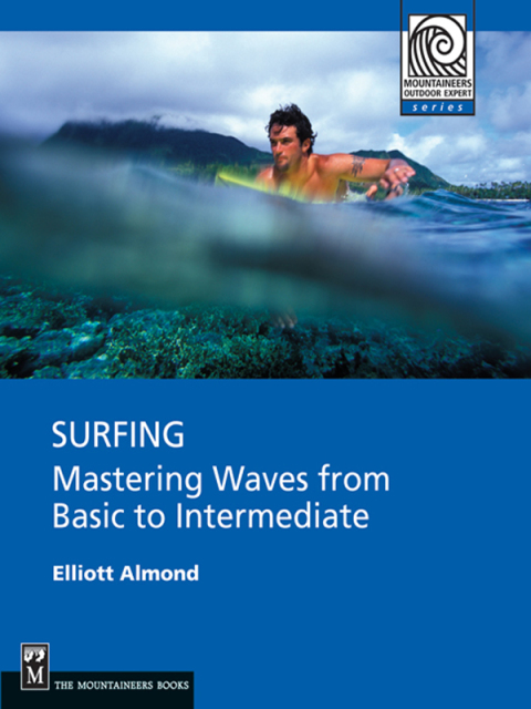 Cover image for book Surfing