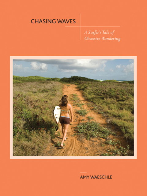 Cover image for book Chasing Waves