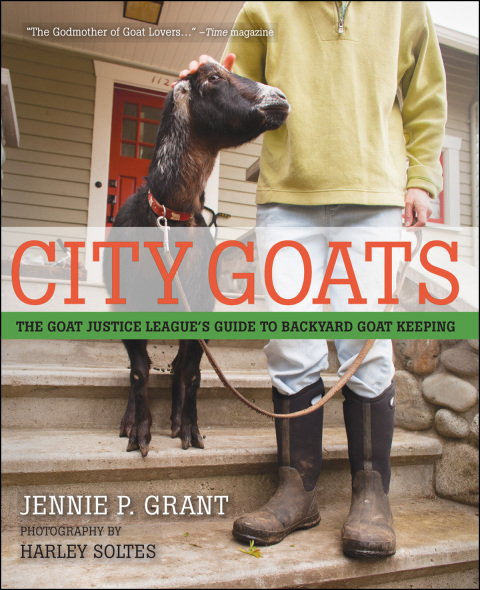 Cover image for book City Goats