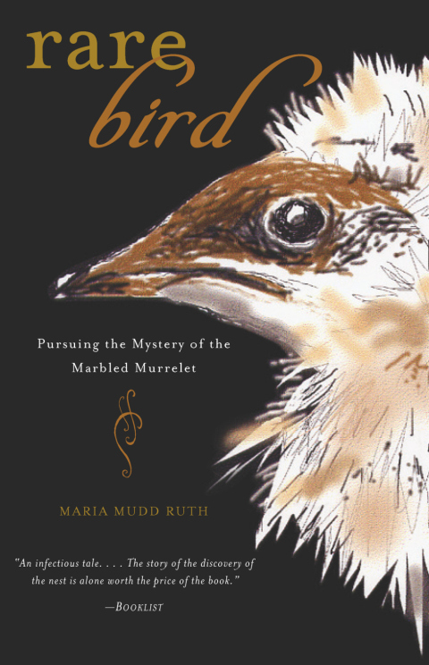 Cover image for book Rare Bird - ebook