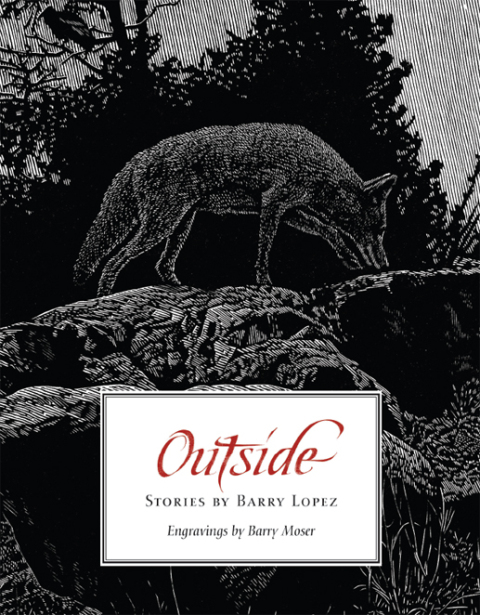 Cover image for book Outside