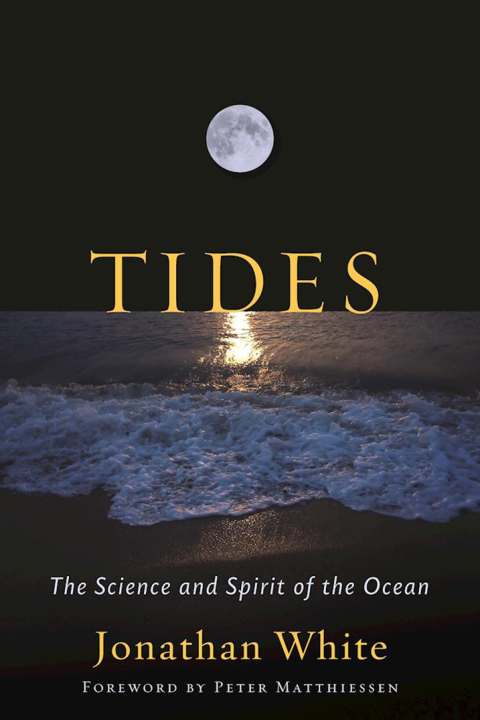 Cover image for book Tides