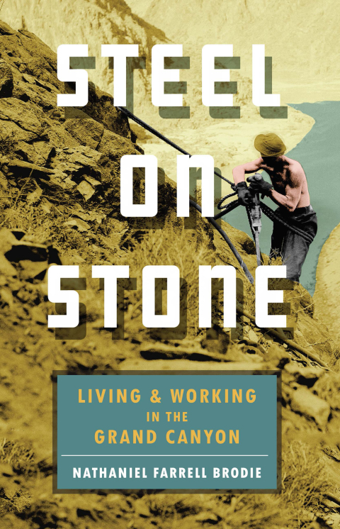 Cover image for book Steel on Stone