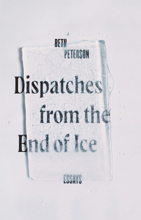 Cover image for book Dispatches from the End of Ice