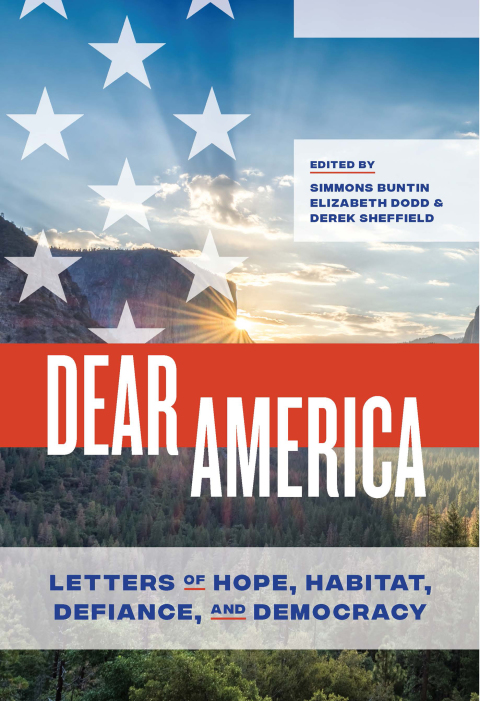 Cover image for book Dear America