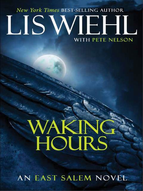 Cover image for book Waking Hours