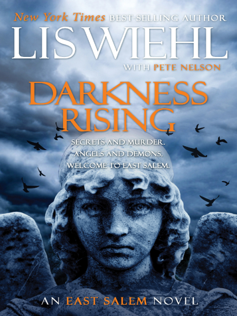 Cover image for book Darkness Rising