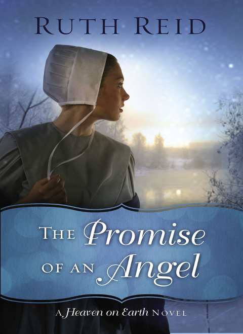Cover image for book The Promise of an Angel