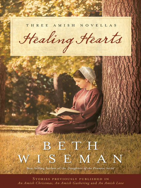 Cover image for book Healing Hearts