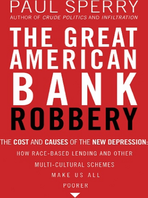 Cover image for book The Great American Bank Robbery