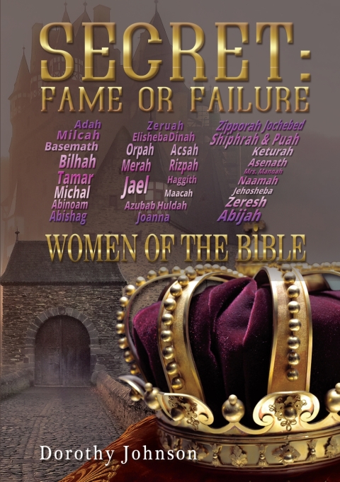 Cover image for book Secret: Fame or Failure