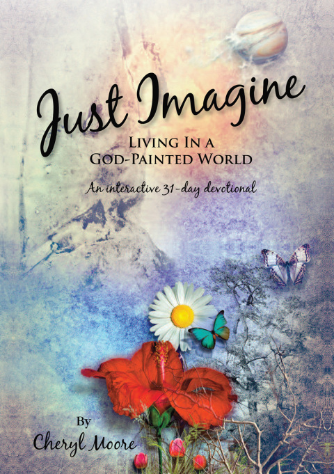 Cover image for book Just Imagine