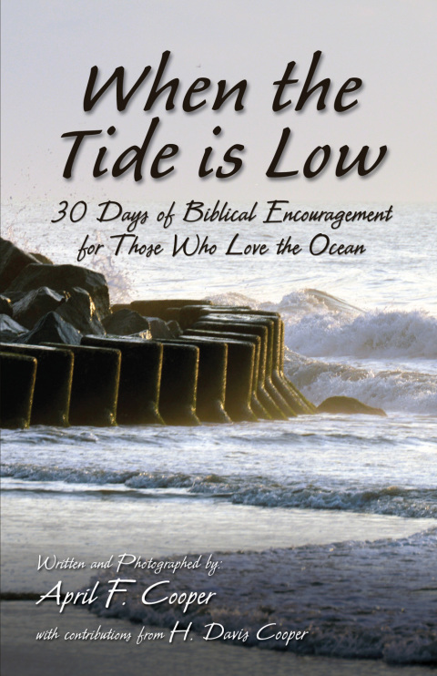 Cover image for book When the Tide is Low