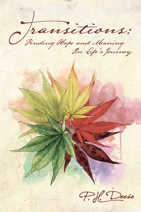 Cover image for book Transitions