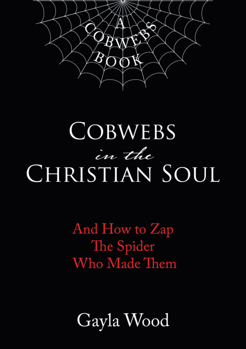 Cover image for book Cobwebs in the Christian Soul