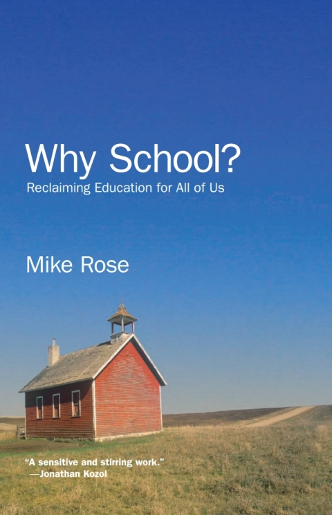 Cover image for book Why School?