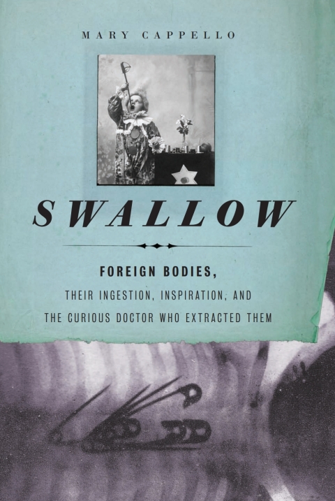 Cover image for book Swallow