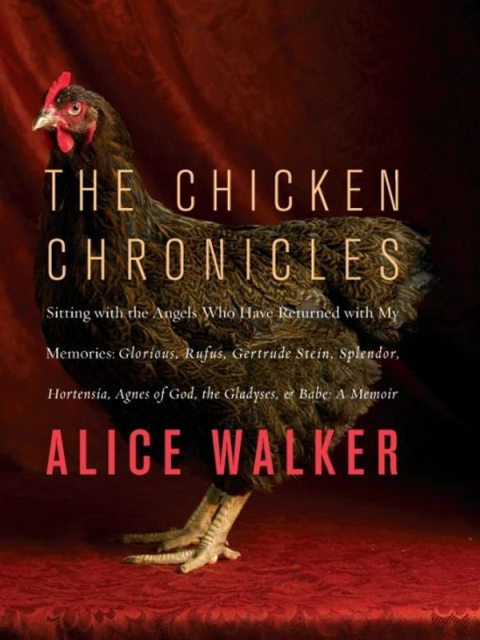 Cover image for book The Chicken Chronicles