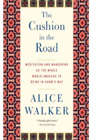 The Cushion in the Road