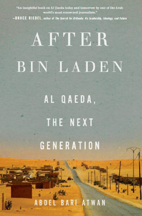 Cover image for book After bin Laden