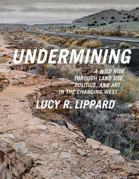 Cover image for book Undermining