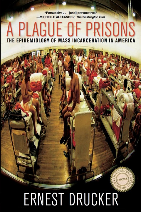 Cover image for book A Plague of Prisons