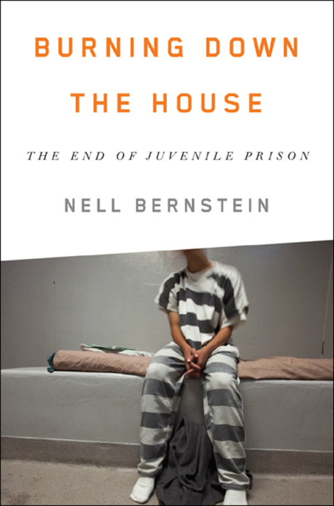 Cover image for book Burning Down the House