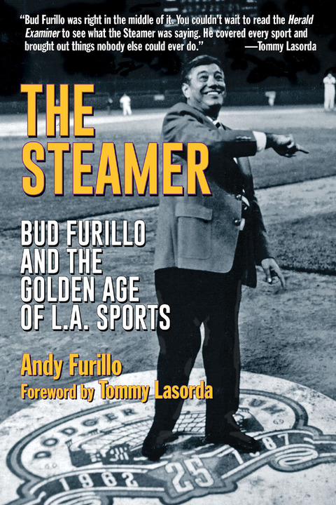 Cover image for book The Steamer