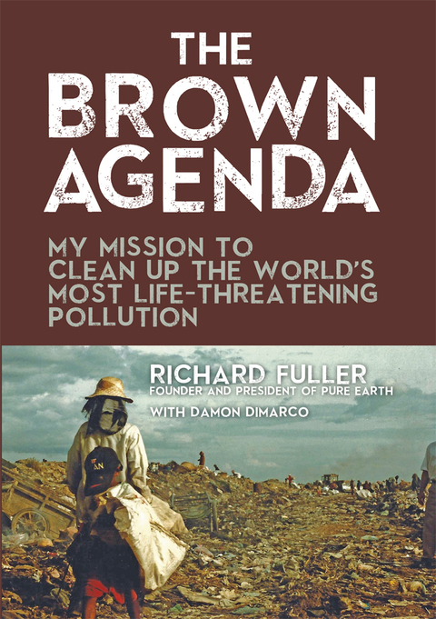 Cover image for book The Brown Agenda