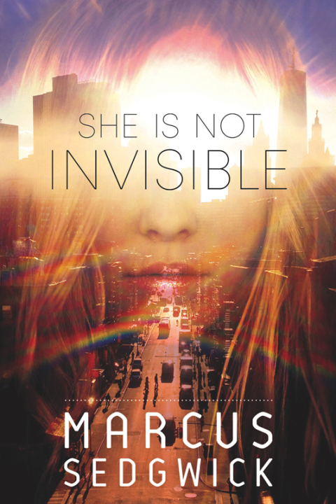 Cover image for book She Is Not Invisible