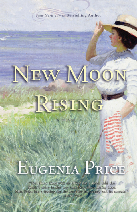 Cover image for book New Moon Rising