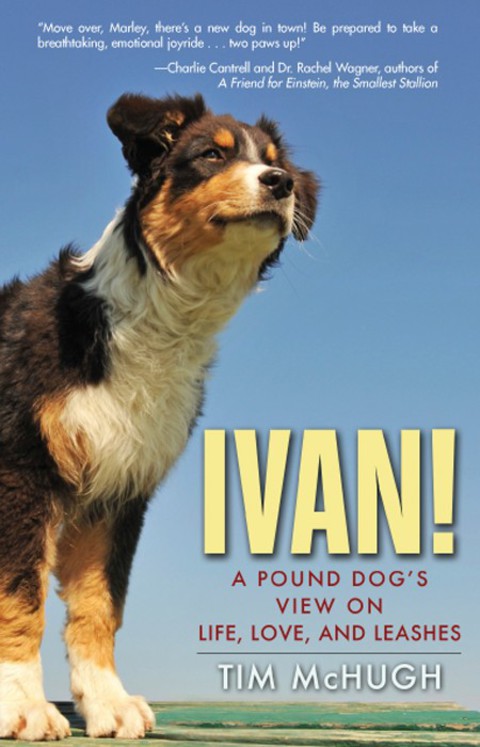 Cover image for book Ivan!