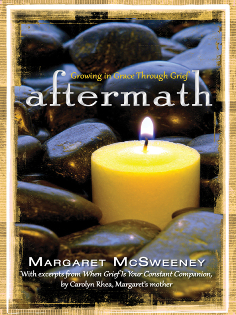 Cover image for book Aftermath