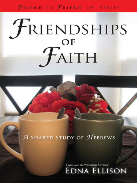 Cover image for book Friendships of Faith