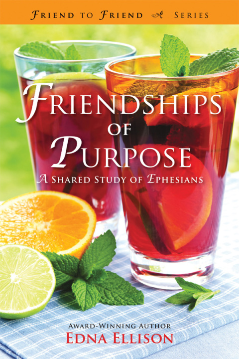 Cover image for book Friendships of Purpose
