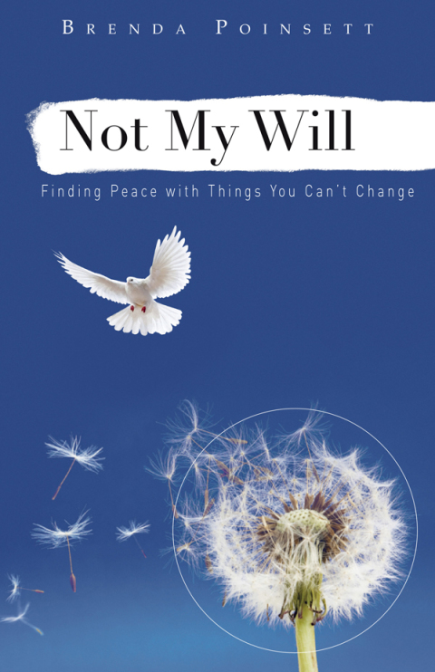 Cover image for book Not My Will