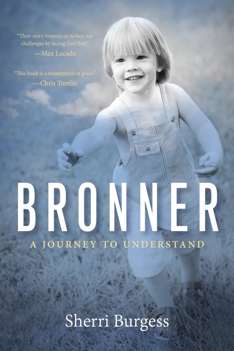 Cover image for book Bronner