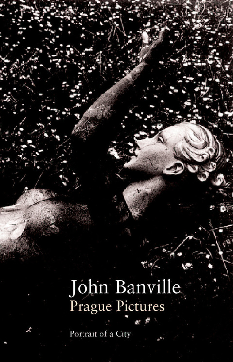 Cover image for book Prague Pictures