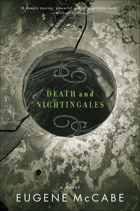 Cover image for book Death and Nightingales