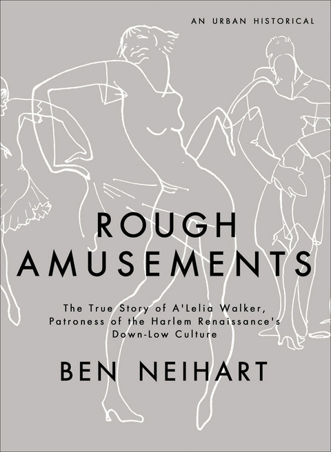 Cover image for book Rough Amusements