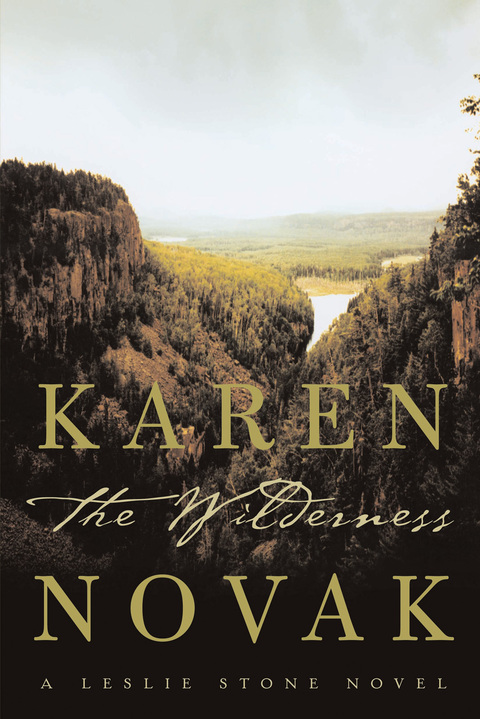 Cover image for book The Wilderness