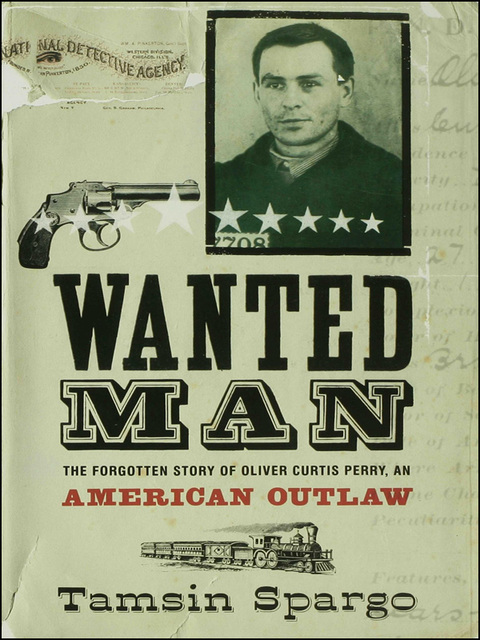 Cover image for book Wanted Man