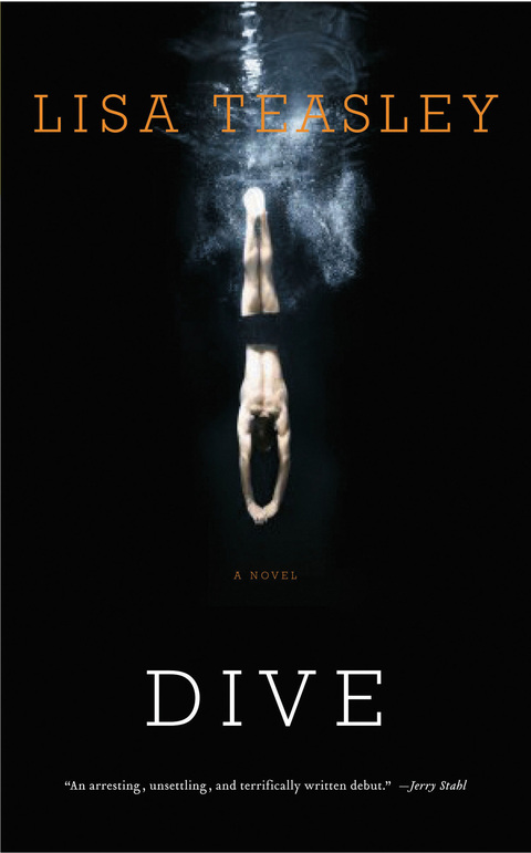Cover image for book Dive
