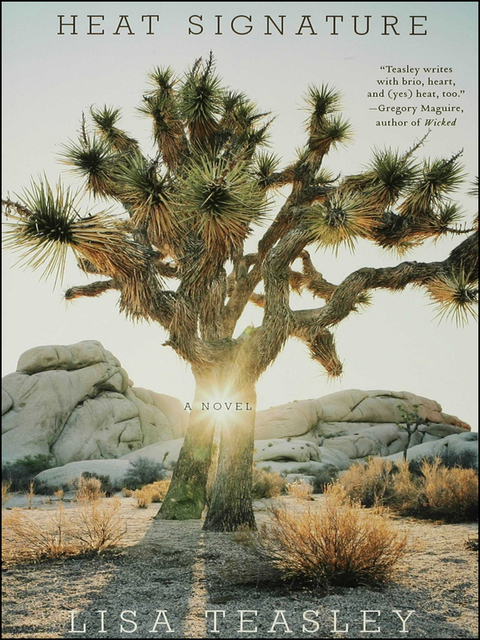 Cover image for book Heat Signature