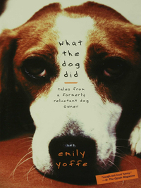 صورة الغلاف: What the Dog Did 1st edition 9781582345659