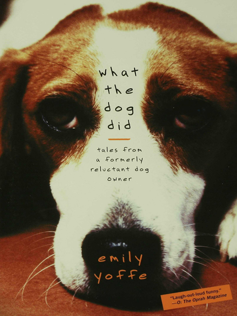 Cover image for book What the Dog Did
